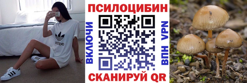 Галлюциногенные грибы Psilocybine cubensis маркетплейс как зайти Янаул