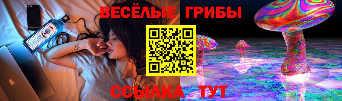 Псилоцибиновые грибы Psilocybine cubensis  Вход с VPN  Янаул  магазин продажи наркотиков  Галлюциногенные грибы Cubensis 